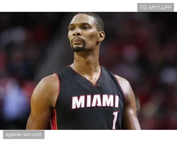 克里斯·波什挡拆拉开空间提升迈阿密热火进攻效率