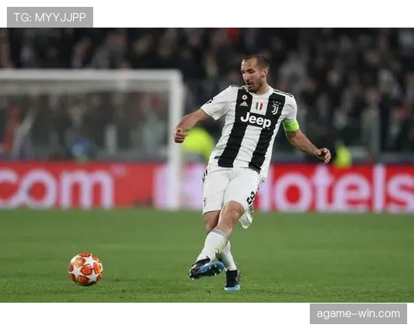 博努奇与基耶利尼在意甲防守体系中的组织角色分化趋势分析